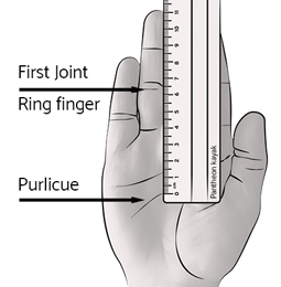 padddle width